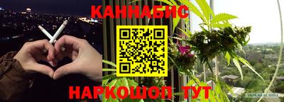 шишки Ярославль