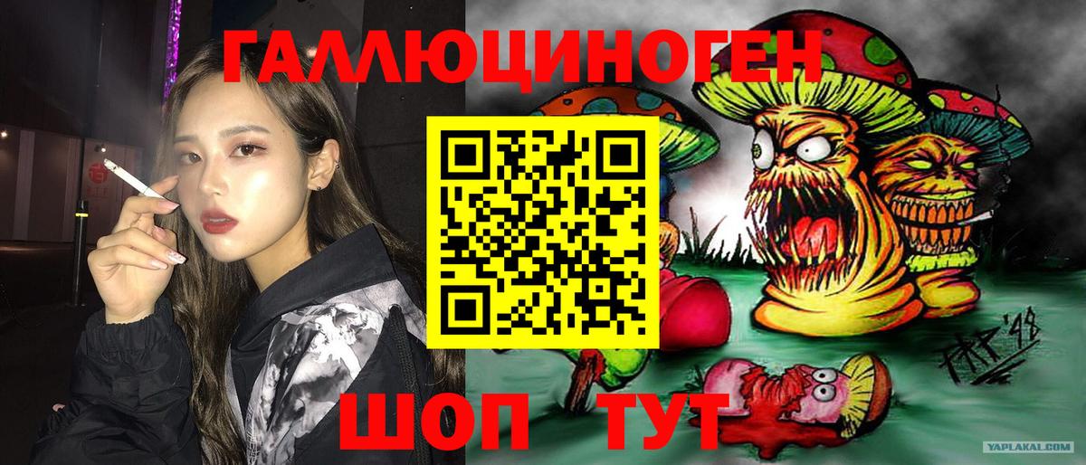 Галлюциногенные грибы GOLDEN TEACHER  хочу наркоту  Северск  Вход с VPN  Галлюциногенные грибы MAGIC MUSHROOMS 